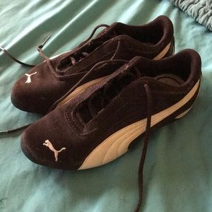 Brown/White pumas